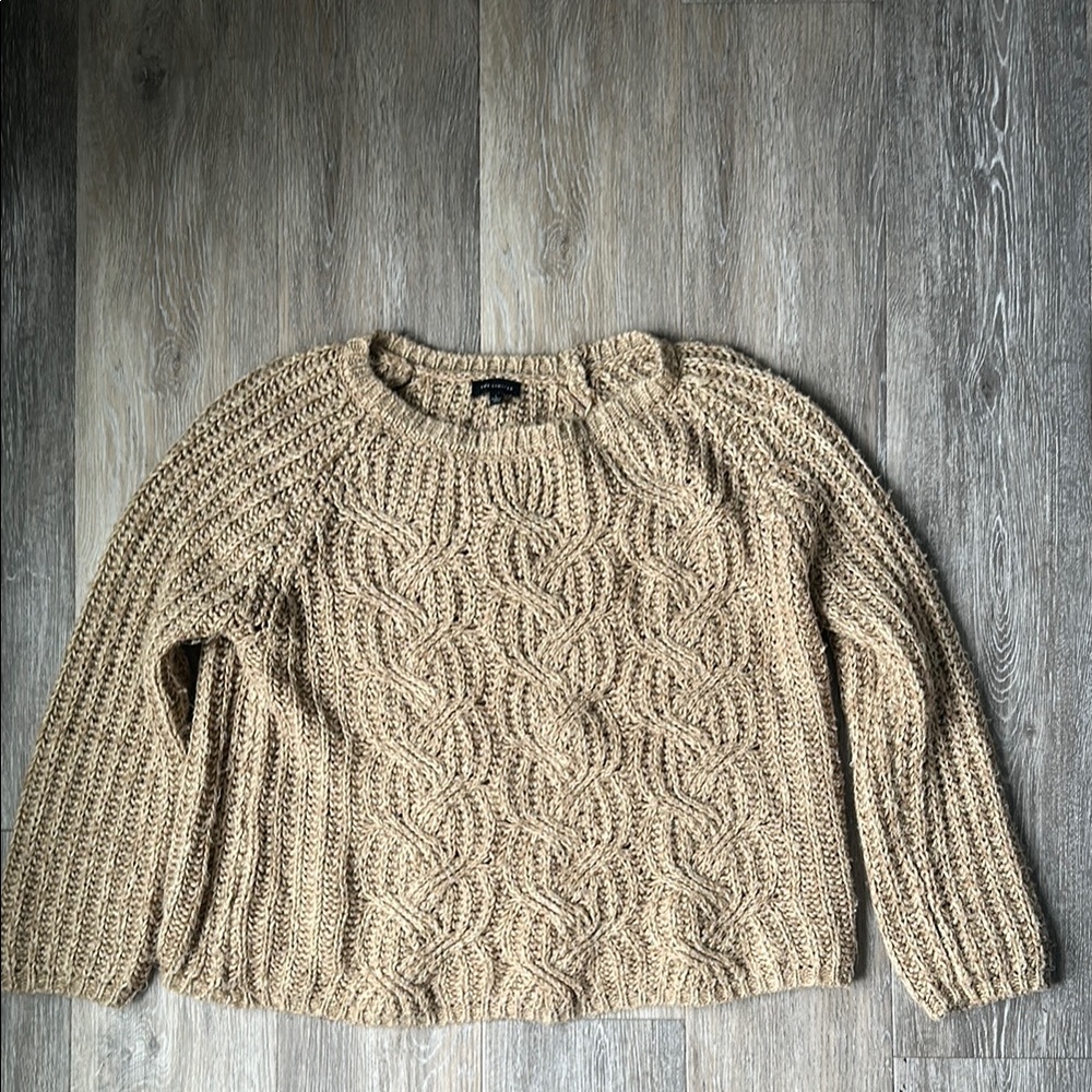 The Limited loose knit sweater